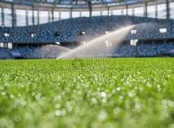 哈兰德成英,吐饼大师,本赛季屡失,万博manbetx体育平台,万博体育官网,万博体育app下载,ManBetX,SPORTS